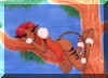 Merlesleepingtree.jpg (38712 octets)